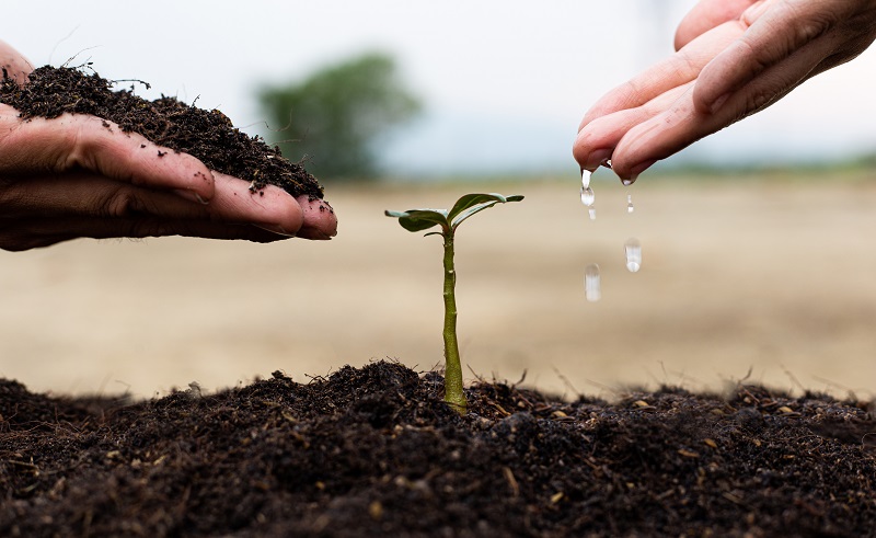 गार्डन में करे सिंचाई की जाँच - Check Irrigation in the Garden in Hindi